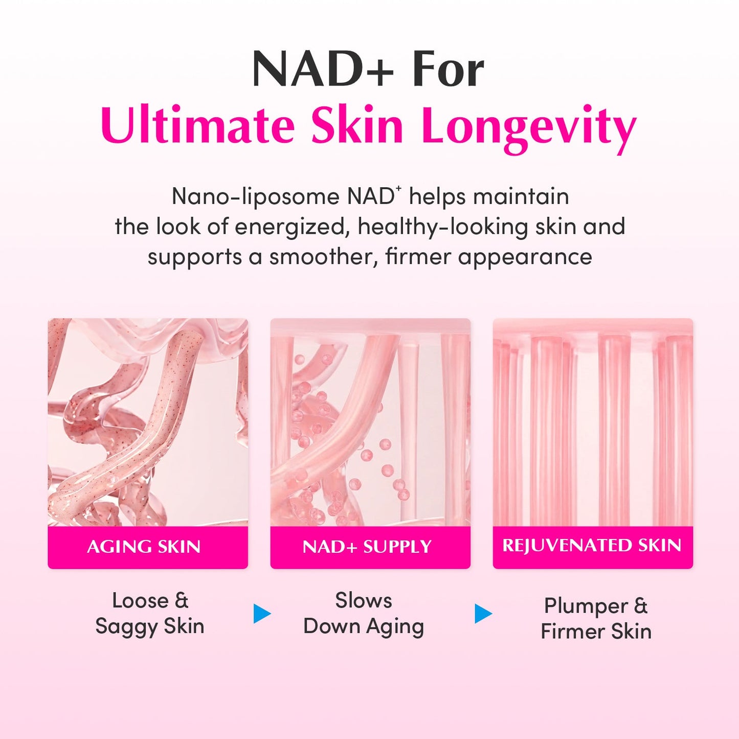 EQQUALBERRY NAD+ Peptide Firming Serum